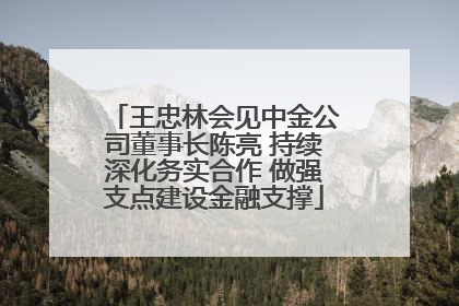 王忠林会见中金公司董事长陈亮 持续深化务实合作 做强支点建设金融支撑