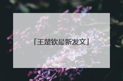 王楚钦最新发文