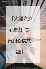 火腿之乡石榴红 美育润心情共融