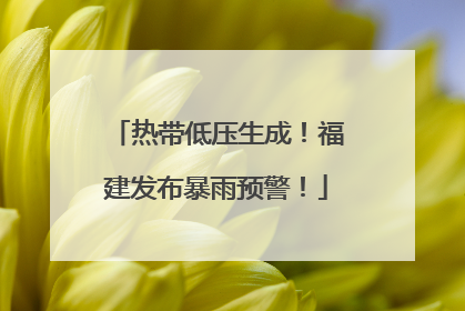 热带低压生成！福建发布暴雨预警！