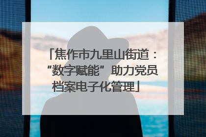 焦作市九里山街道：“数字赋能”助力党员档案电子化管理