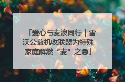 爱心与麦浪同行｜雷沃公益机收联盟为特殊家庭解燃“麦”之急