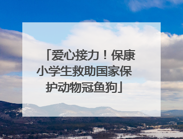 爱心接力！保康小学生救助国家保护动物冠鱼狗