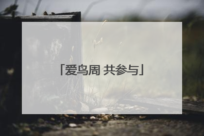 爱鸟周 共参与