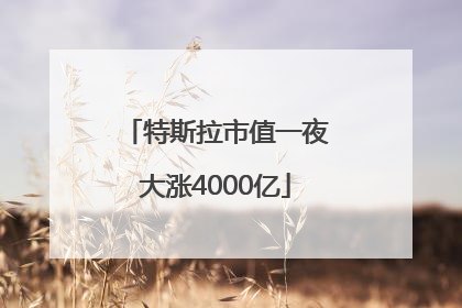 特斯拉市值一夜大涨4000亿