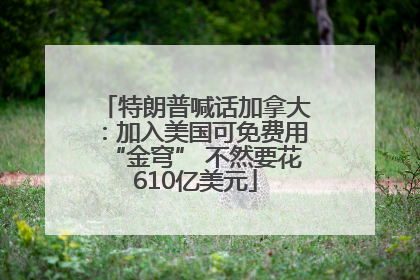 特朗普喊话加拿大：加入美国可免费用“金穹” 不然要花610亿美元
