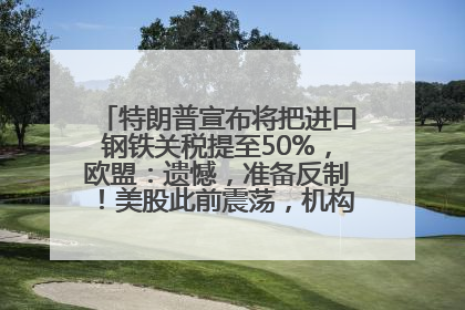 特朗普宣布将把进口钢铁关税提至50%，欧盟：遗憾，准备反制！美股此前震荡，机构：美元正进入熊市