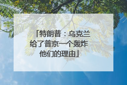 特朗普：乌克兰给了普京一个轰炸他们的理由