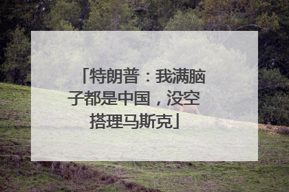 特朗普：我满脑子都是中国，没空搭理马斯克