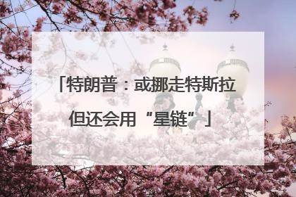 特朗普：或挪走特斯拉 但还会用“星链”