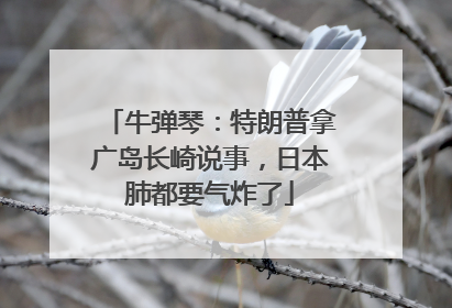 牛弹琴：特朗普拿广岛长崎说事，日本肺都要气炸了