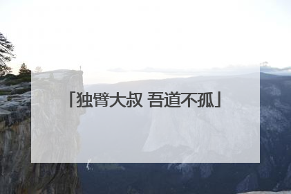 独臂大叔 吾道不孤