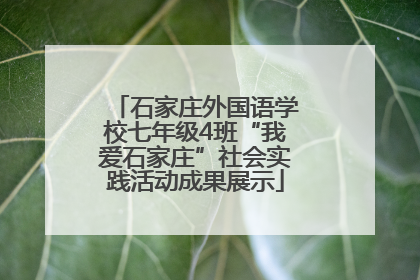 石家庄外国语学校七年级4班“我爱石家庄”社会实践活动成果展示