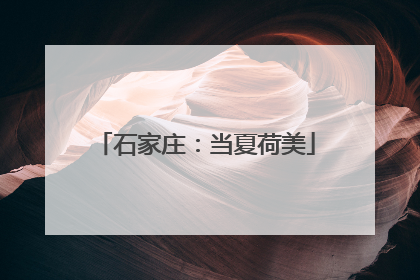 石家庄：当夏荷美