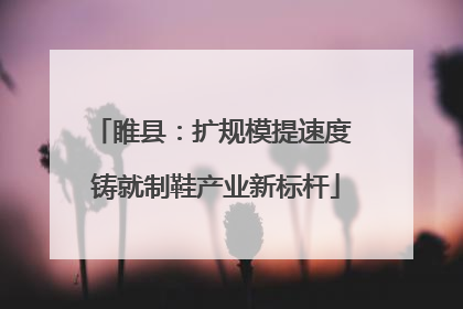 睢县：扩规模提速度 铸就制鞋产业新标杆