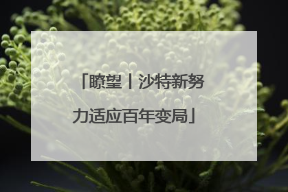 瞭望丨沙特新努力适应百年变局