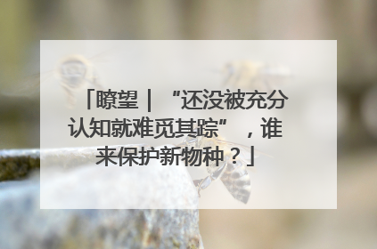 瞭望｜“还没被充分认知就难觅其踪”，谁来保护新物种？