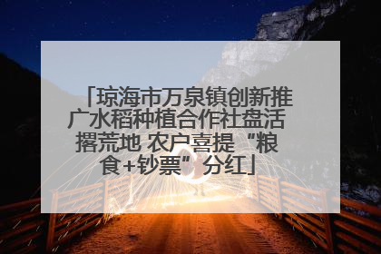 琼海市万泉镇创新推广水稻种植合作社盘活撂荒地 农户喜提“粮食+钞票”分红