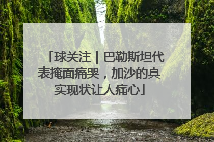 球关注｜巴勒斯坦代表掩面痛哭，加沙的真实现状让人痛心