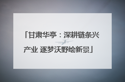 甘肃华亭：深耕链条兴产业 逐梦沃野绘新景