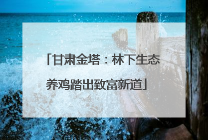 甘肃金塔：林下生态养鸡踏出致富新道