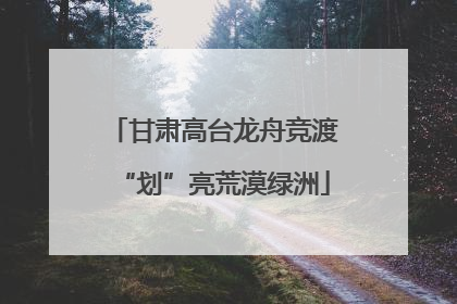 甘肃高台龙舟竞渡“划”亮荒漠绿洲