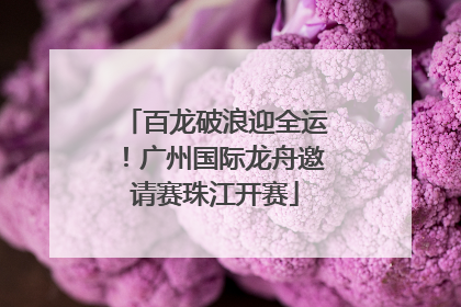 百龙破浪迎全运！广州国际龙舟邀请赛珠江开赛