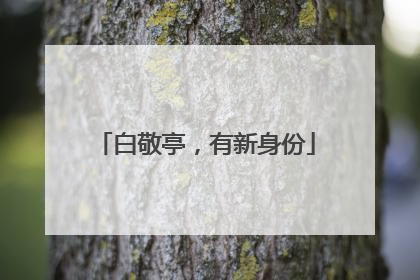 白敬亭，有新身份