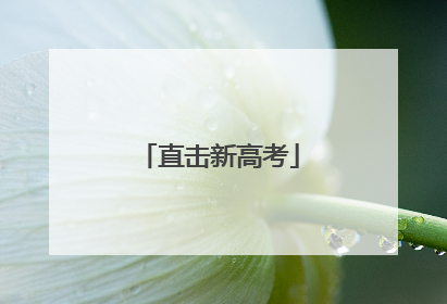 直击新高考