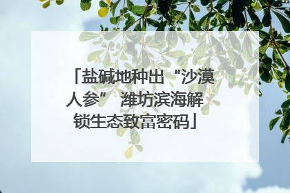 盐碱地种出“沙漠人参” 潍坊滨海解锁生态致富密码