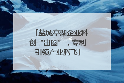 盐城亭湖企业科创“出圈”，专利引领产业腾飞