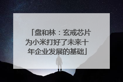 盘和林：玄戒芯片为小米打好了未来十年企业发展的基础