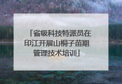 省级科技特派员在印江开展山桐子苗期管理技术培训