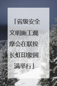 省级安全文明施工观摩会在联投长虹印象圆满举行