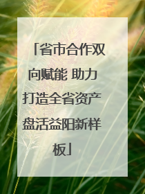 省市合作双向赋能 助力打造全省资产盘活益阳新样板