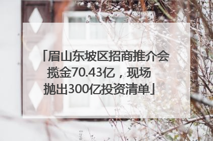 眉山东坡区招商推介会揽金70.43亿，现场抛出300亿投资清单