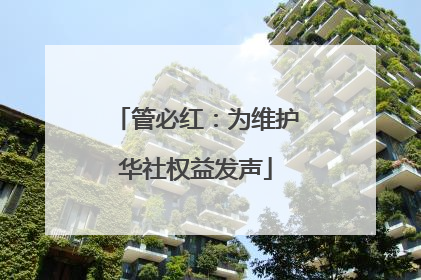 管必红：为维护华社权益发声
