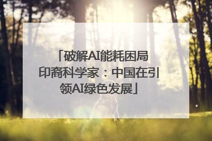 破解AI能耗困局 印裔科学家：中国在引领AI绿色发展