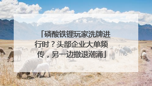 磷酸铁锂玩家洗牌进行时？头部企业大单频传，另一边撤退潮涌