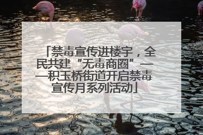 禁毒宣传进楼宇，全民共建“无毒商圈”——积玉桥街道开启禁毒宣传月系列活动