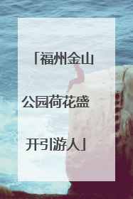 福州金山公园荷花盛开引游人