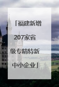 福建新增207家省级专精特新中小企业
