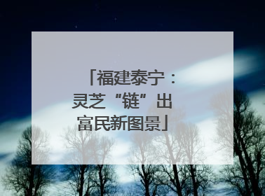 福建泰宁：灵芝“链”出富民新图景