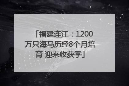 福建连江：1200万只海马历经8个月培育 迎来收获季