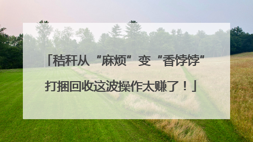秸秆从“麻烦”变“香饽饽” 打捆回收这波操作太赚了！