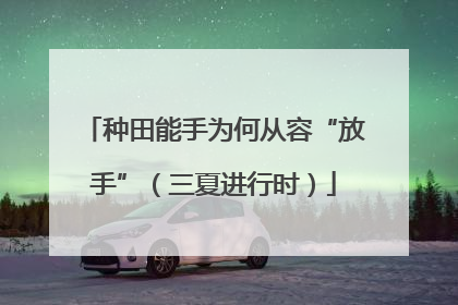 种田能手为何从容“放手”（三夏进行时）