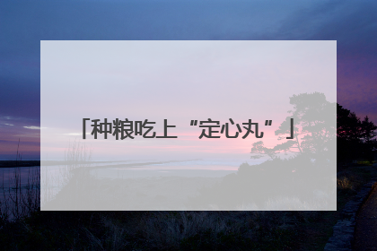 种粮吃上“定心丸”