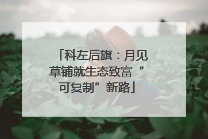 科左后旗：月见草铺就生态致富“可复制”新路