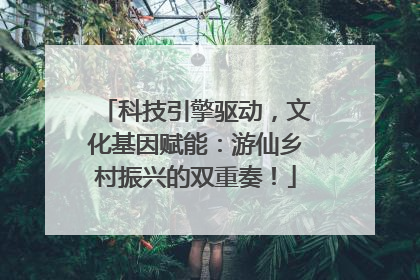 科技引擎驱动，文化基因赋能：游仙乡村振兴的双重奏！