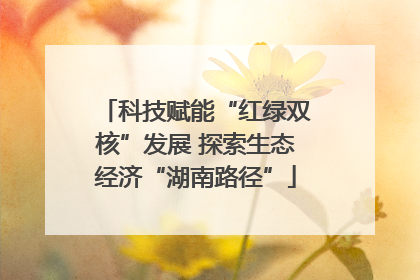 科技赋能“红绿双核”发展 探索生态经济“湖南路径”